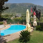 Elida