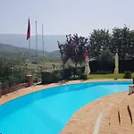 Elida 4*